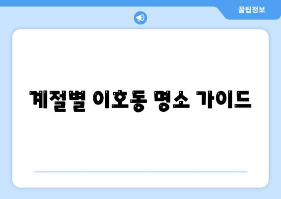 계절별 이호동 명소 가이드