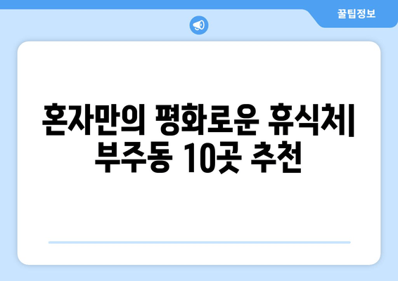 혼자만의 평화로운 휴식처| 부주동 10곳 추천