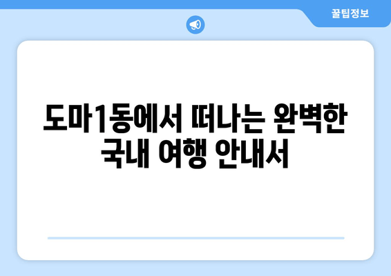 도마1동에서 떠나는 완벽한 국내 여행 안내서