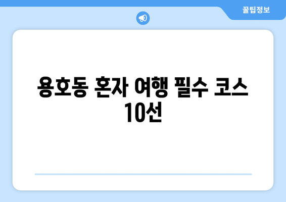 용호동 혼자 여행 필수 코스 10선