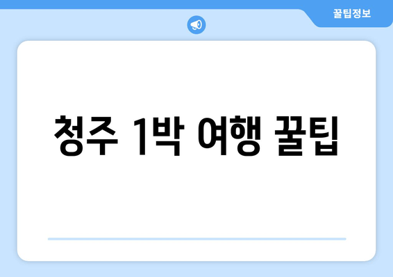 청주 1박 여행 꿀팁