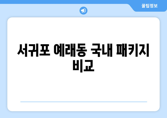 서귀포 예래동 국내 패키지 비교