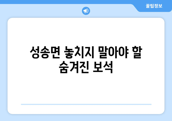 성송면 놓치지 말아야 할 숨겨진 보석