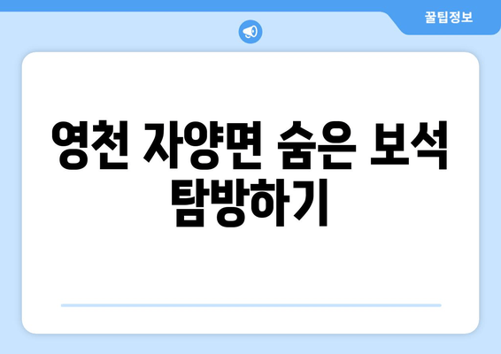 영천 자양면 숨은 보석 탐방하기