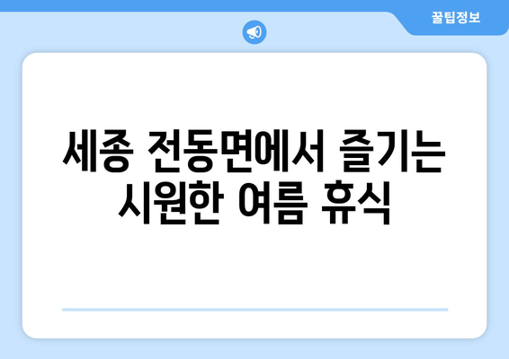 세종 전동면에서 즐기는 시원한 여름 휴식