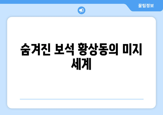 숨겨진 보석 황상동의 미지 세계