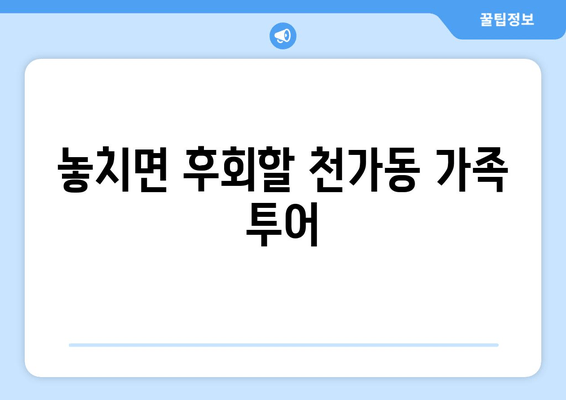 놓치면 후회할 천가동 가족 투어