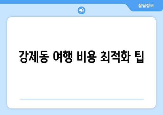 강제동 여행 비용 최적화 팁