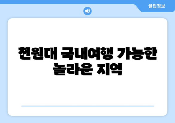 천원대 국내여행 가능한 놀라운 지역