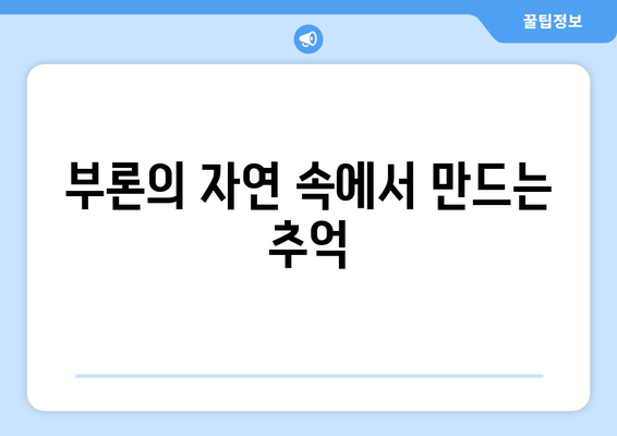 부론의 자연 속에서 만드는 추억