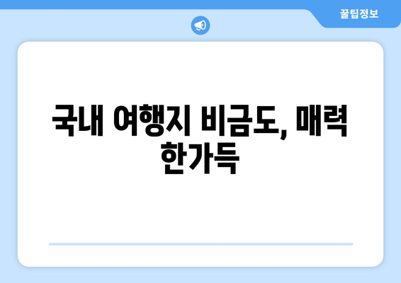 국내 여행지 비금도, 매력 한가득