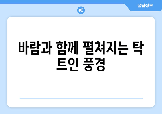 거제도 바람의 언덕 리조트에서 만끽하는 힐링 여행 | 자연 속 휴식, 탁 트인 풍경, 잊지 못할 추억