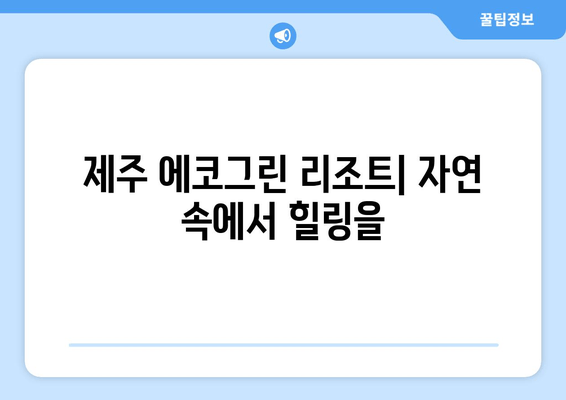 제주도 에코 여행의 완벽한 선택! 제주 에코그린 리조트| 자연 친화적인 숙박 경험 | 제주도, 친환경 숙소, 에코 여행, 지속가능한 여행