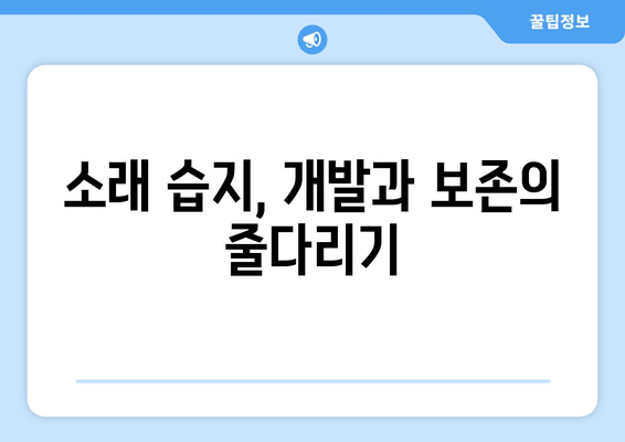 소래 습지생태공원| 개발과 보존, 빛과 그림자의 공존 | 생태, 환경, 개발, 갈등, 미래