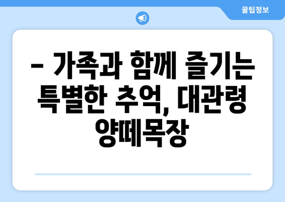 대관령 양떼목장, 자연과 평화 속에서 힐링을 경험하세요 | 강원도 여행, 가족 나들이, 양떼목장 체험