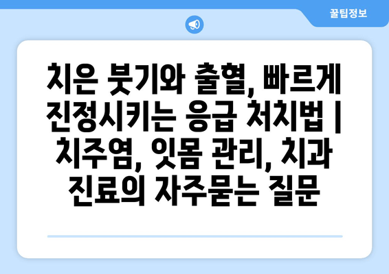 치은 붓기와 출혈, 빠르게 진정시키는 응급 처치법 | 치주염, 잇몸 관리, 치과 진료