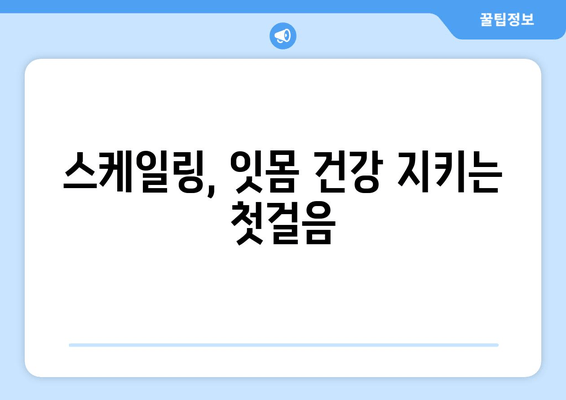 잇몸 건강 지키는 필수템! 스케일링의 중요성 | 인천 서울365치과, 잇몸 치료, 치주 질환 예방