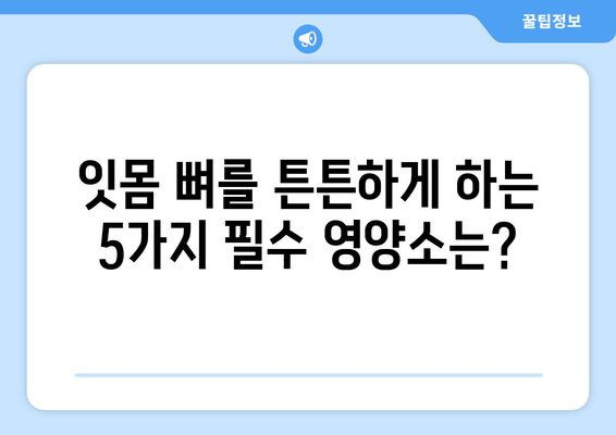 잇몸 뼈 강화 영양제| 건강한 잇몸을 위한 5가지 필수 영양소 | 잇몸 건강, 뼈 건강, 영양제 추천, 잇몸 뼈 강화