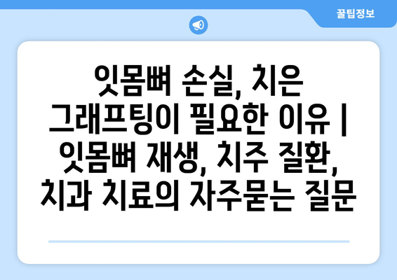 잇몸뼈 손실, 치은 그래프팅이 필요한 이유 | 잇몸뼈 재생, 치주 질환, 치과 치료