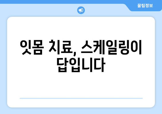 잇몸 건강을 위한 필수 단계! 스케일링이 중요한 이유 | 잇몸 질환 예방, 치주염, 잇몸 치료