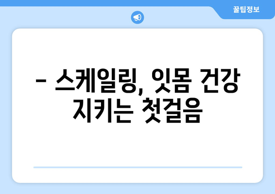 서초역 스케일링 잇몸 치료 과정| 꼼꼼한 진료 & 효과적인 치료 | 치과, 잇몸 질환, 스케일링, 치주염