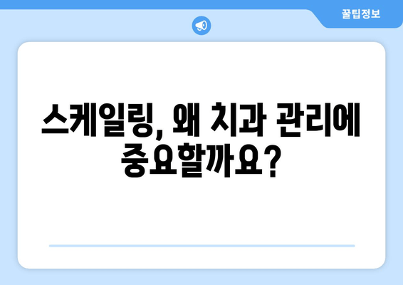 잇몸 건강 지키는 필수템! 스케일링, 왜 중요할까요? | 잇몸병 예방, 치주 질환, 치과 관리