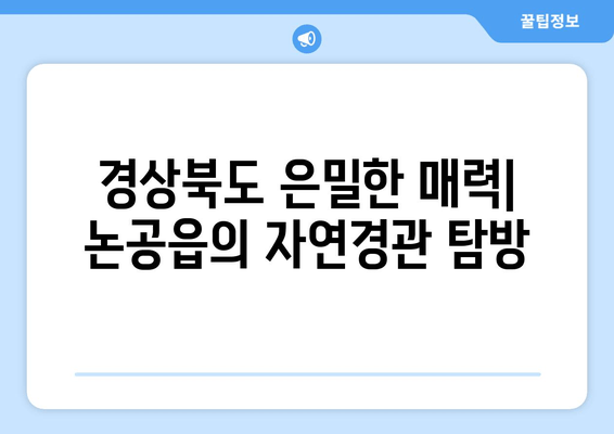 경상북도 은밀한 매력| 논공읍의 자연경관 탐방