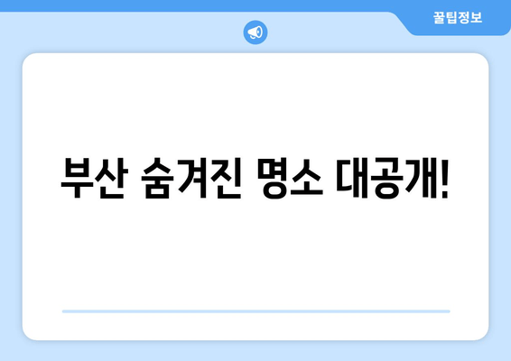 부산 숨겨진 명소 대공개!