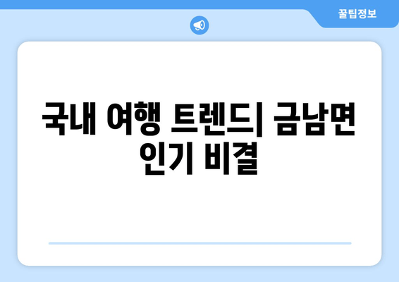 국내 여행 트렌드| 금남면 인기 비결