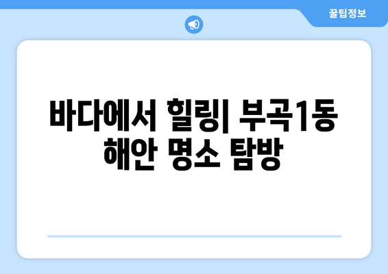 바다에서 힐링| 부곡1동 해안 명소 탐방