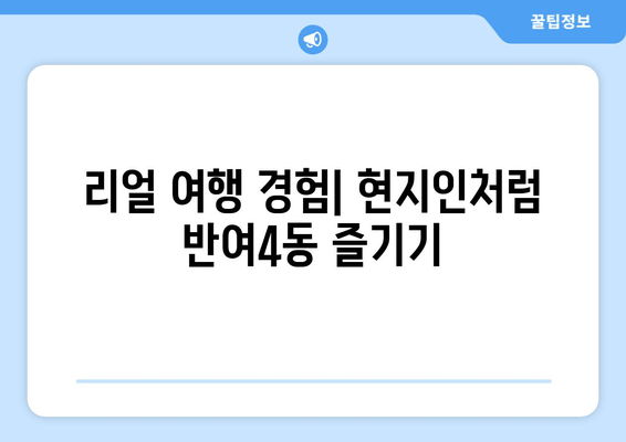 리얼 여행 경험| 현지인처럼 반여4동 즐기기