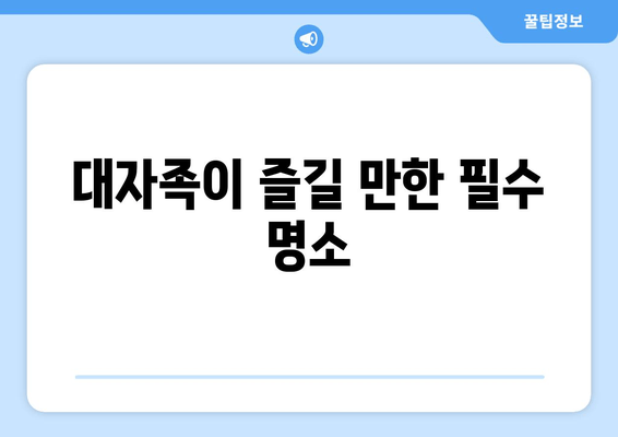 대자족이 즐길 만한 필수 명소