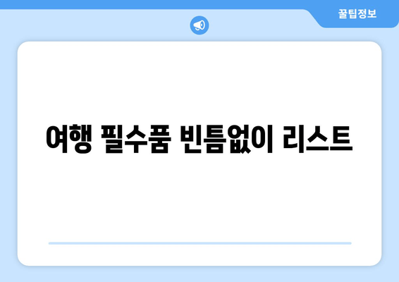 여행 필수품 빈틈없이 리스트