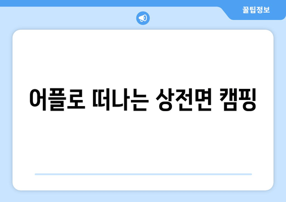 어플로 떠나는 상전면 캠핑