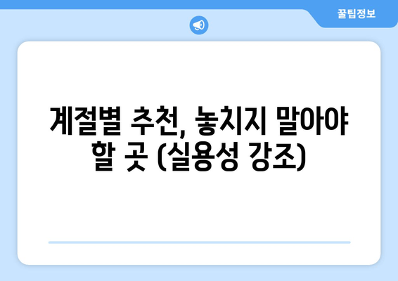 계절별 추천, 놓치지 말아야 할 곳 (실용성 강조)