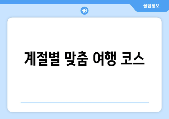 계절별 맞춤 여행 코스