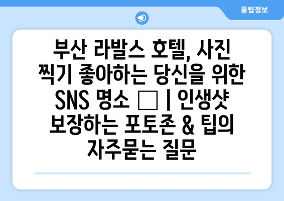 부산 라발스 호텔, 사진 찍기 좋아하는 당신을 위한 SNS 명소 📸 | 인생샷 보장하는 포토존 & 팁