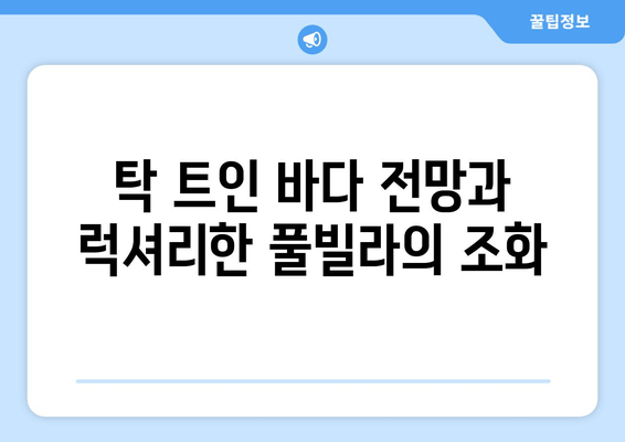 제주도의 오아시스, 베이힐 풀 앤 빌라에서 힐링을! | 제주 풀빌라, 휴양, 가족여행, 커플 여행