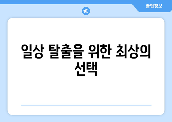 일상 탈출을 위한 최상의 선택