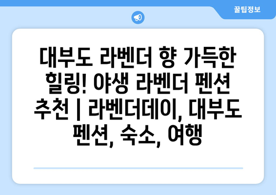 대부도 라벤더 향 가득한 힐링! 야생 라벤더 펜션 추천 | 라벤더데이, 대부도 펜션, 숙소, 여행