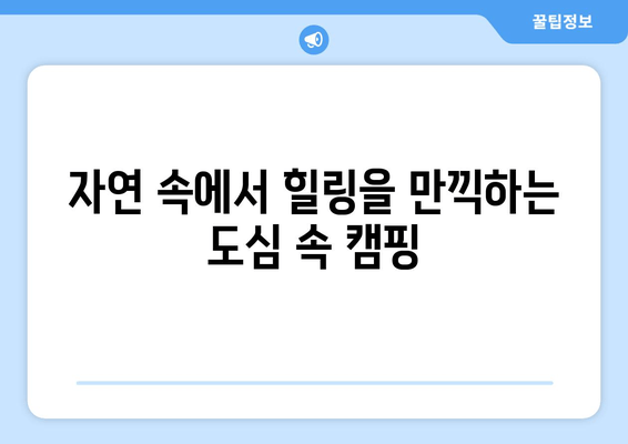 안양 병목안 1캠핑장| 도심 속 힐링, 자연과 함께 떠나는 캠핑 | 서울 근교 캠핑, 가족 캠핑, 캠핑장 추천