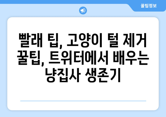 고양이와 빨래, 트위터에서 공유된 꿀팁 모음 | 고양이 털 제거, 빨래 팁, 고양이와 함께하는 삶