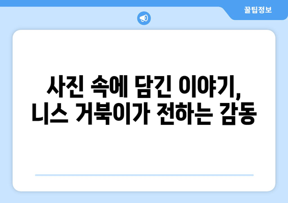 니스 거북이가 트위터에서 포착한 일상의 섬광| 잊을 수 없는 순간들 | 니스, 거북이, 트위터, 일상, 섬광, 사진, 이야기