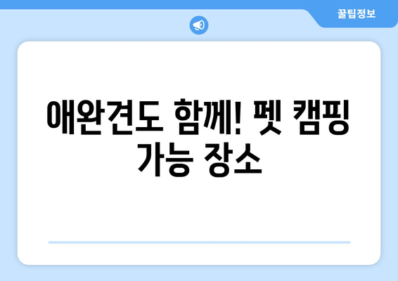 애완견도 함께! 펫 캠핑 가능 장소