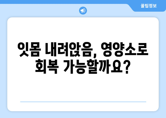 잇몸 내려앉음, 영양소로 되돌릴 수 있을까요? | 잇몸 건강, 잇몸 내려앉음 완화, 영양소 섭취