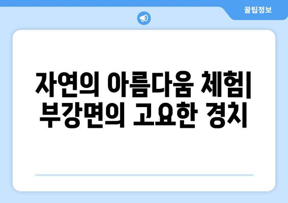 자연의 아름다움 체험| 부강면의 고요한 경치