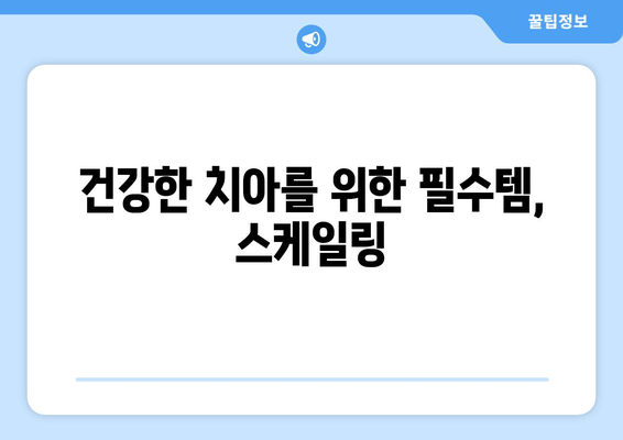 잇몸 건강 지키는 필수템! 스케일링, 왜 중요할까요? | 잇몸병 예방, 치주 질환, 치과 관리