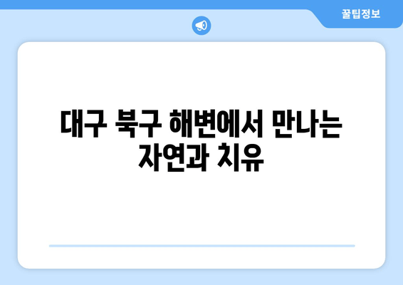 대구 북구 해변에서 만나는 자연과 치유