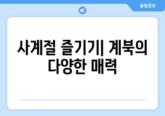 사계절 즐기기| 계북의 다양한 매력