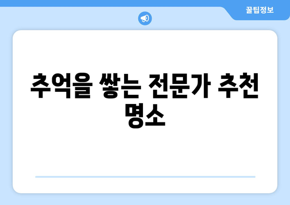 추억을 쌓는 전문가 추천 명소